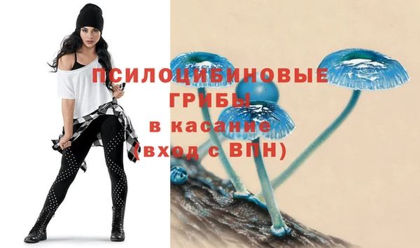 apvp Алексин