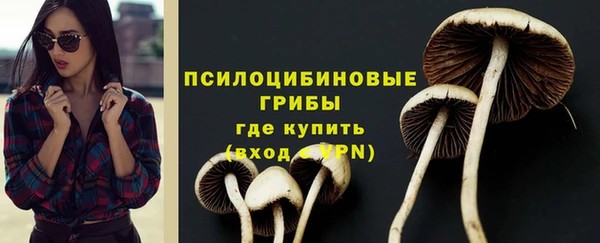 apvp Алексин