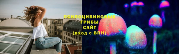 apvp Алексин