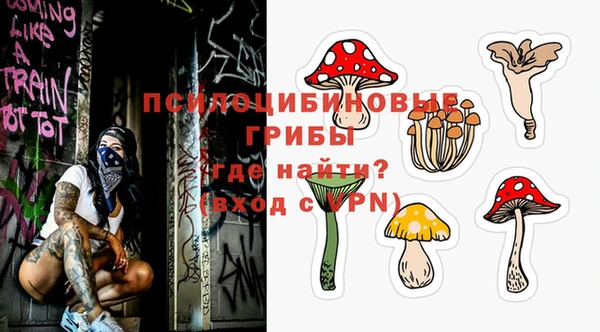 МДПВ Алексеевка