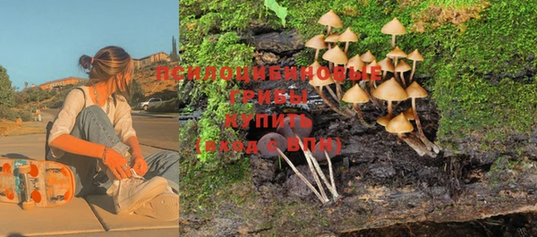 apvp Алексин